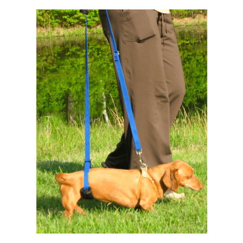 GingerLead Support Sling - Mini Unisex image 1