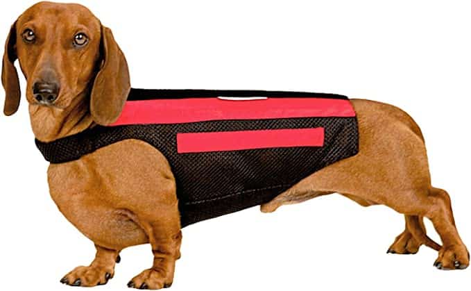 Wiggleless Back Brace - Rent for dentals (Size Small Long) image 2