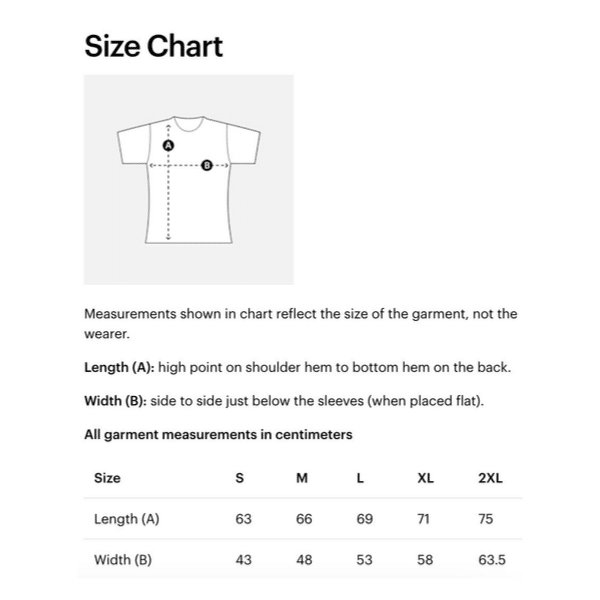 DISA Ladies T-Shirt – New Branding Edition image 3