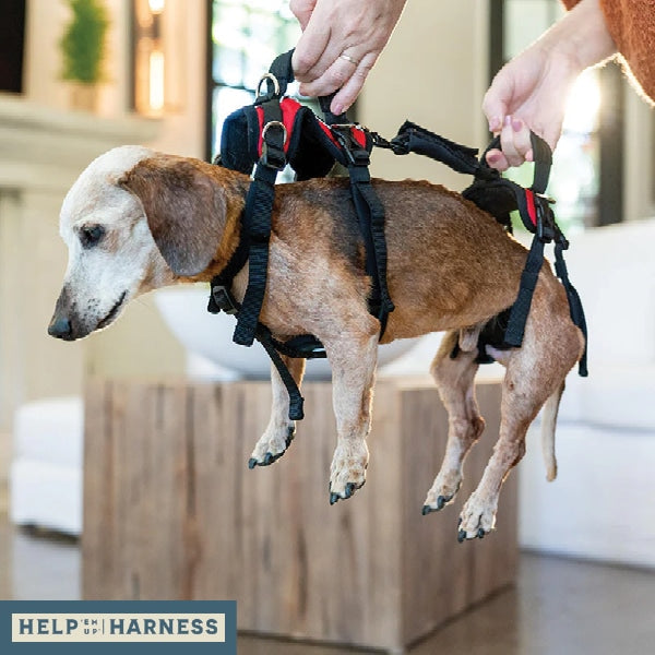Help Em Up Extra Small Conventional Harness image 3
