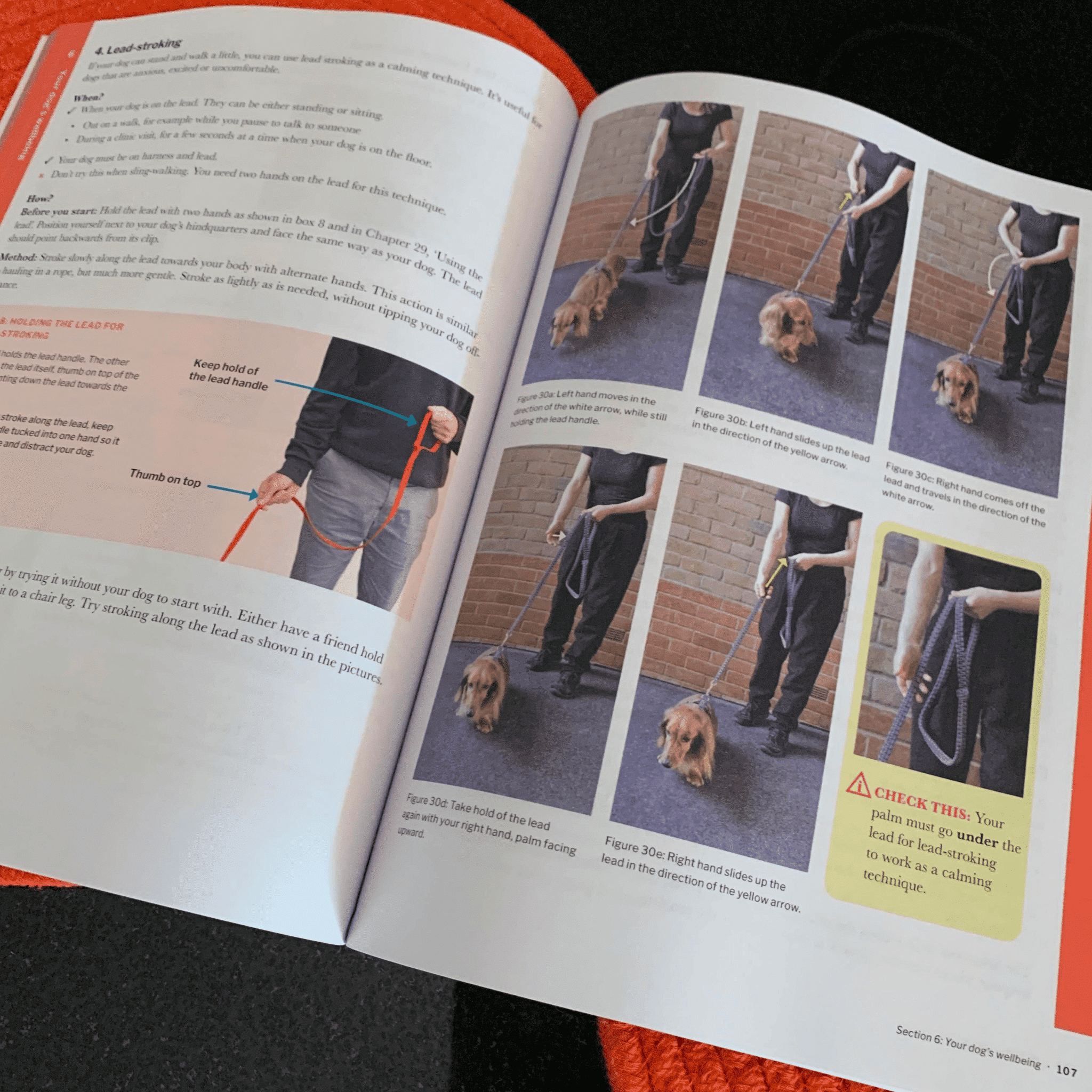 The IVDD Handbook - Rental image 1