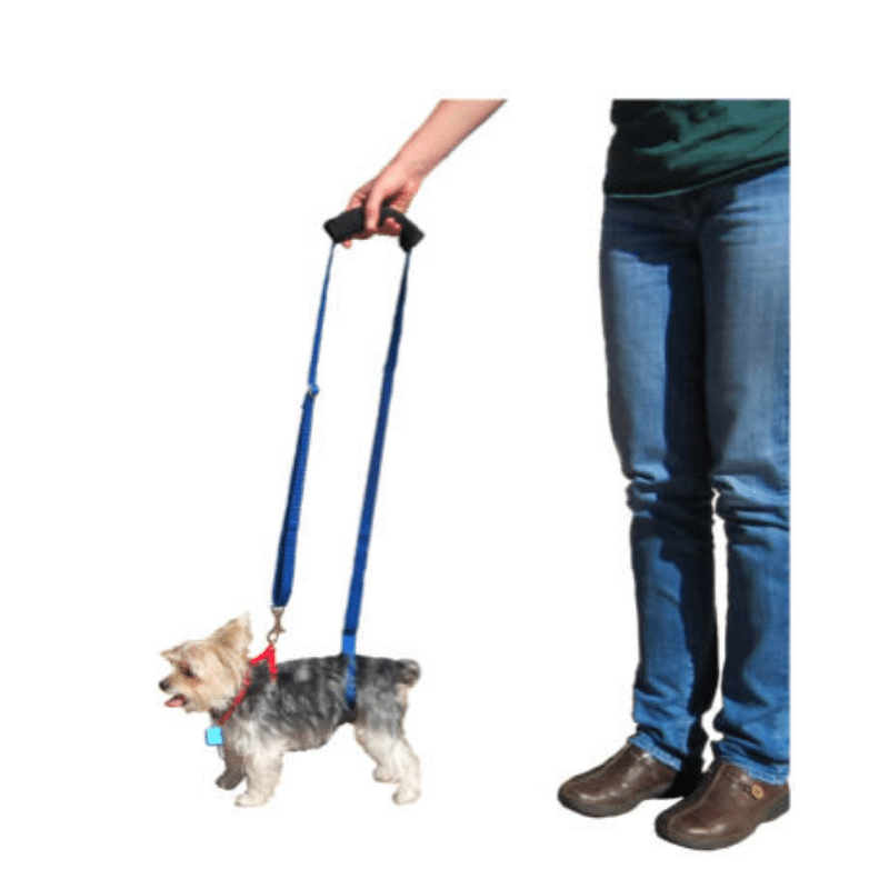GingerLead Support Sling - Mini Unisex image 2