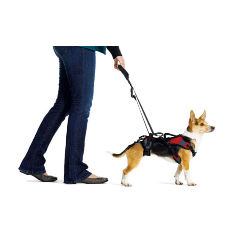 Help Em Up Small Conventional Harness image 4