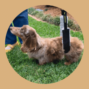 Support Sling by DISA - Unisex (up to 9kg*) + Free DISA Stroller Badge image 1