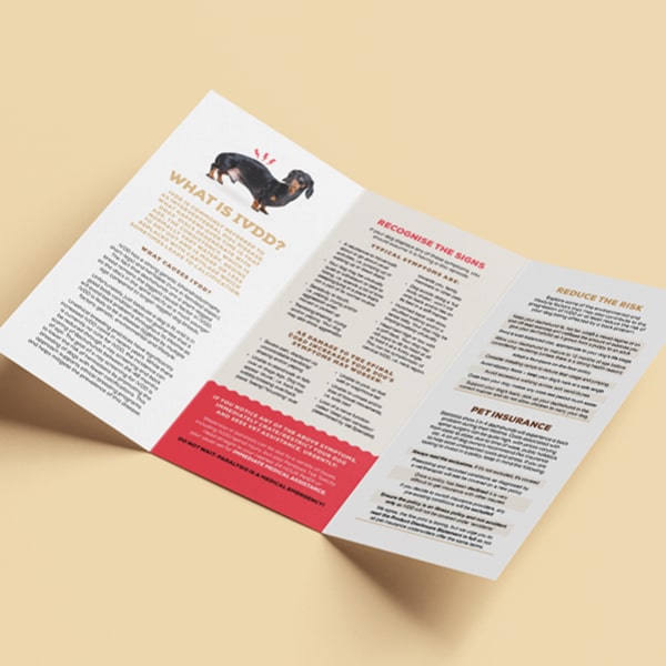 Brochure & Magnet Pack - 20 brochures & 16 magnets image 2