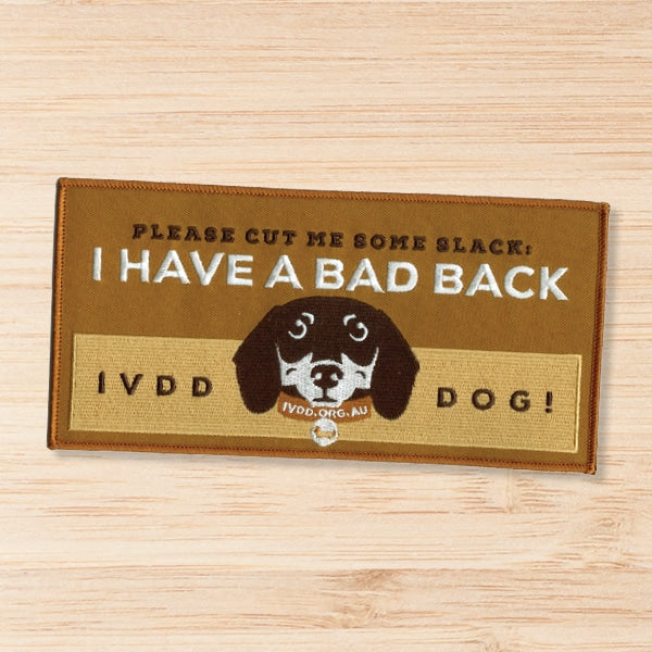 Badge - I have a bad back - NEW STYLE image 0