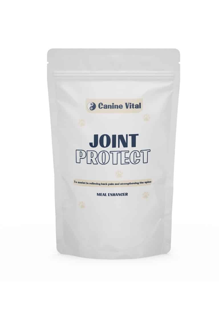 Canine Vital Joint Protect - 40g Trial Pack image 0