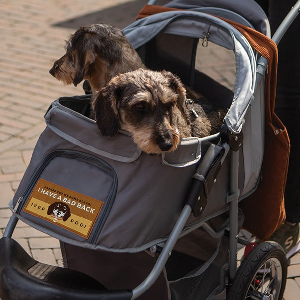 Badge - I have a bad back - NEW STYLE image 1