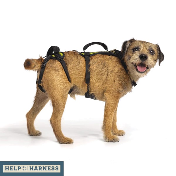 Help Em Up Extra Small Conventional Harness image 2