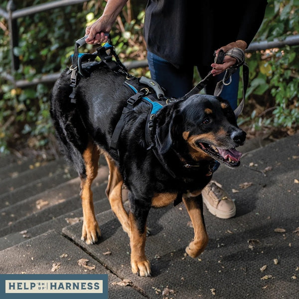 Help Em Up Walking Handle image 1