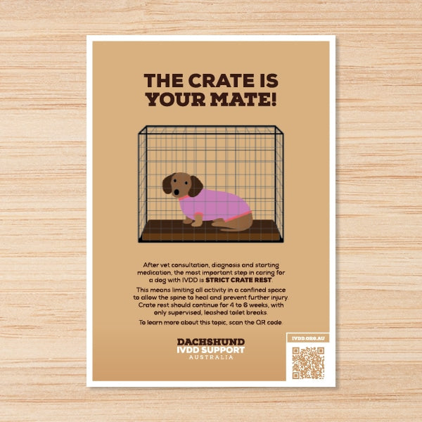 Crate is your mate A4 Brochure