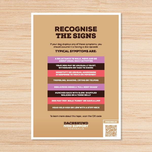 Signs & Symptoms A4 Brochure