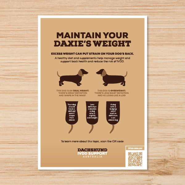 Maintain your Daxies Weight A4 Brochure