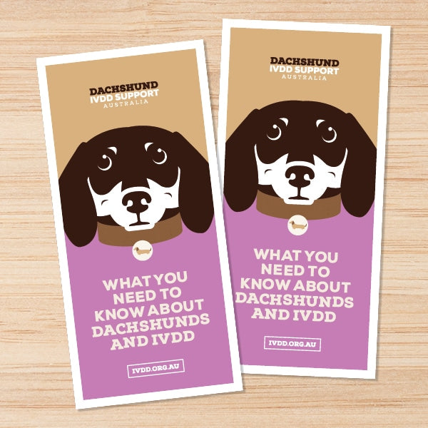 Brochure Download "What you need to know about Dachshunds & IVDD"