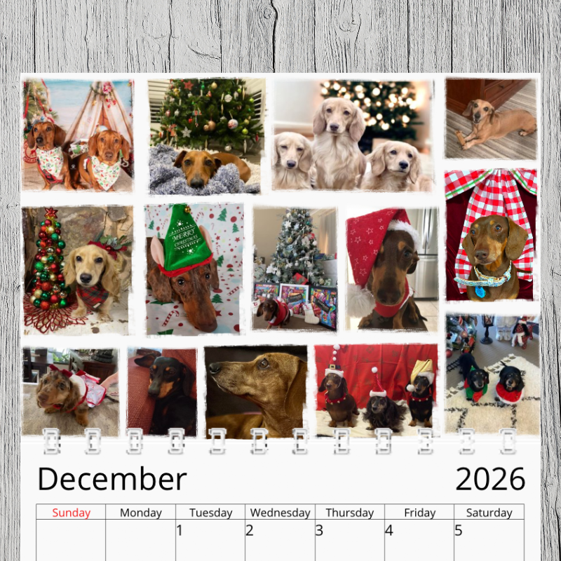 Dachprint 2026 Community Calendar