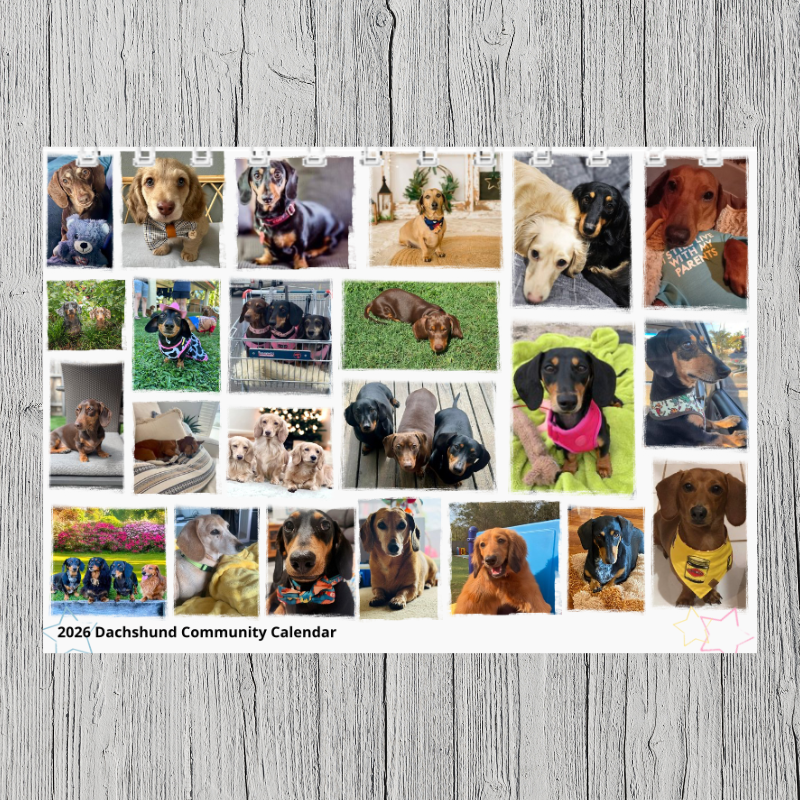 Dachprint 2026 Community Calendar