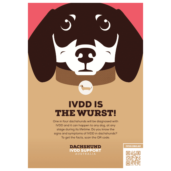 QR Code Brochure Download "IVDD is the Wurst"