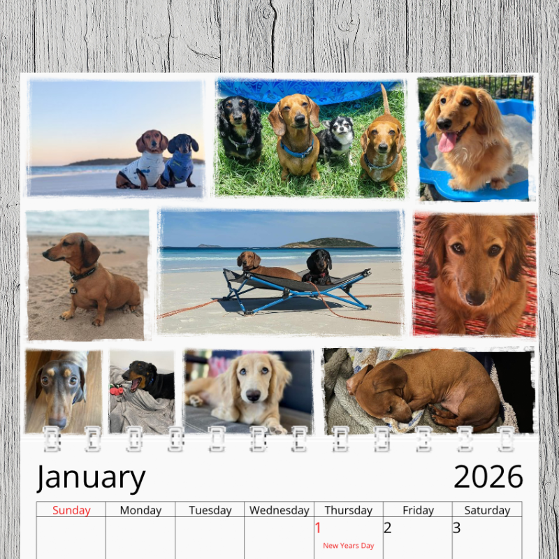Dachprint 2026 Community Calendar