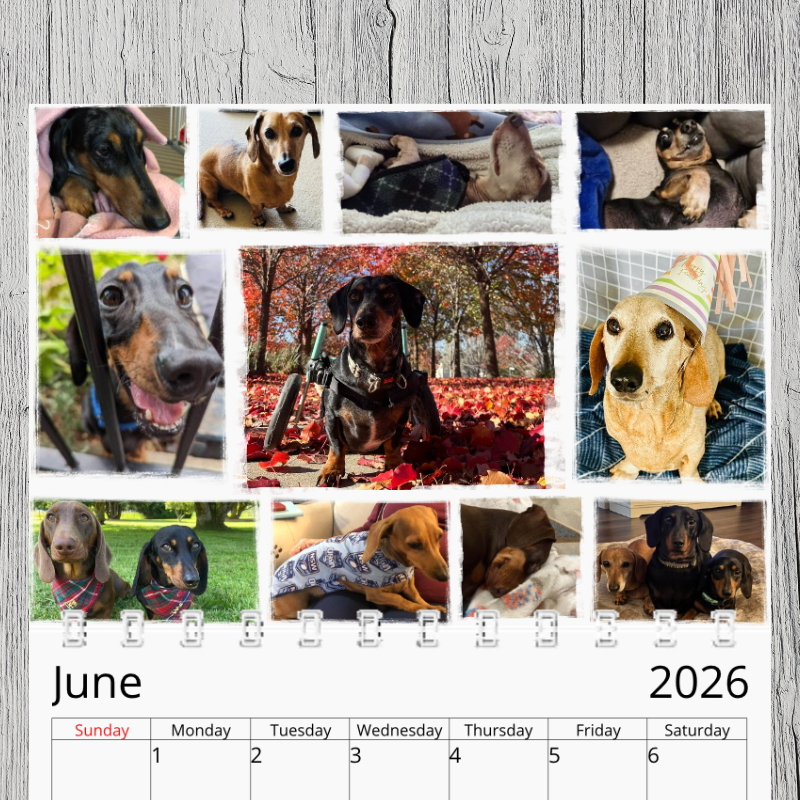 Dachprint 2026 Community Calendar