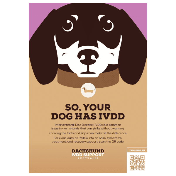 QR Code Brochure Download "So your dog has IVDD"