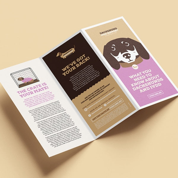 Brochure & Magnet Pack - 20 brochures & 16 magnets image 1