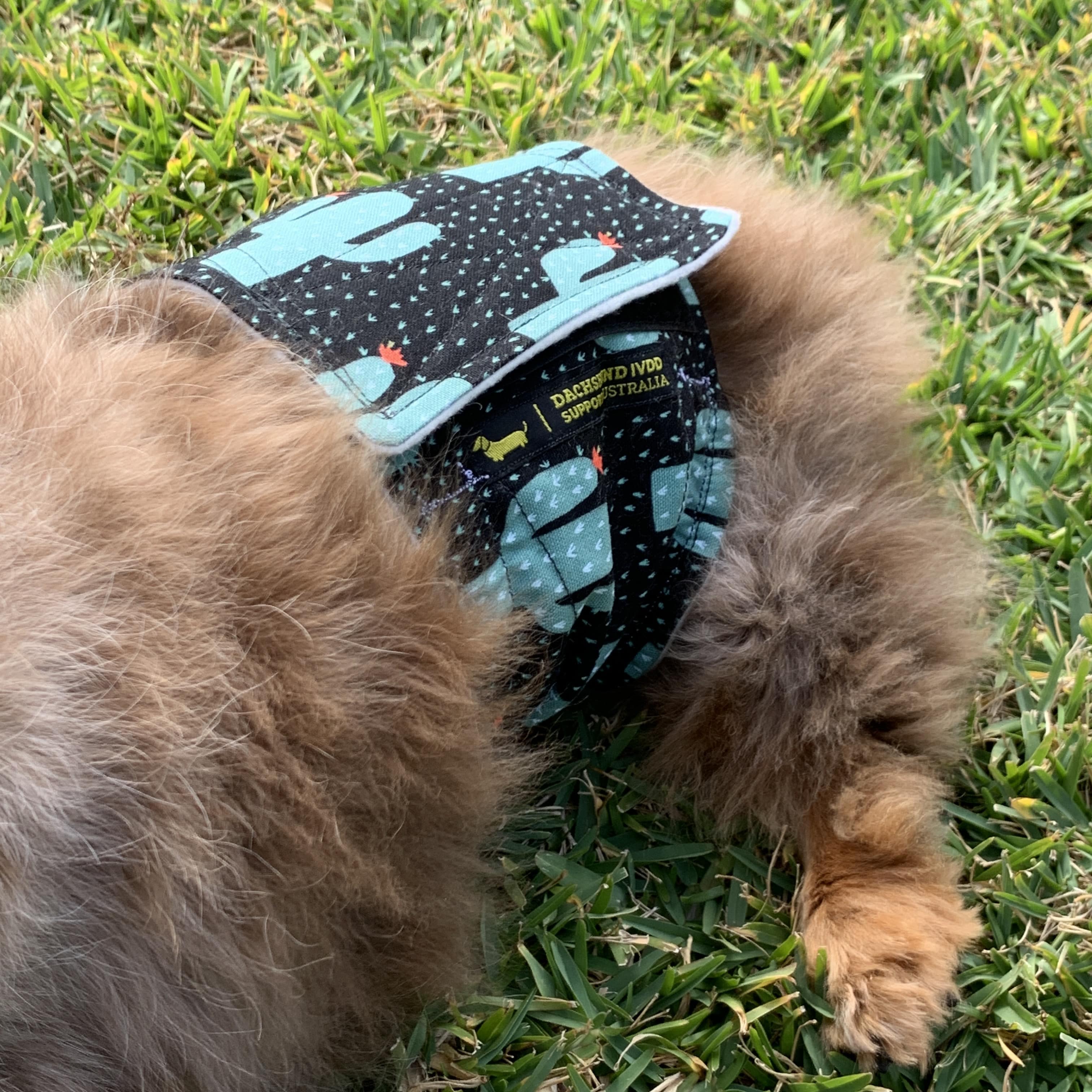 Belly Band Wraps for Boys image 3