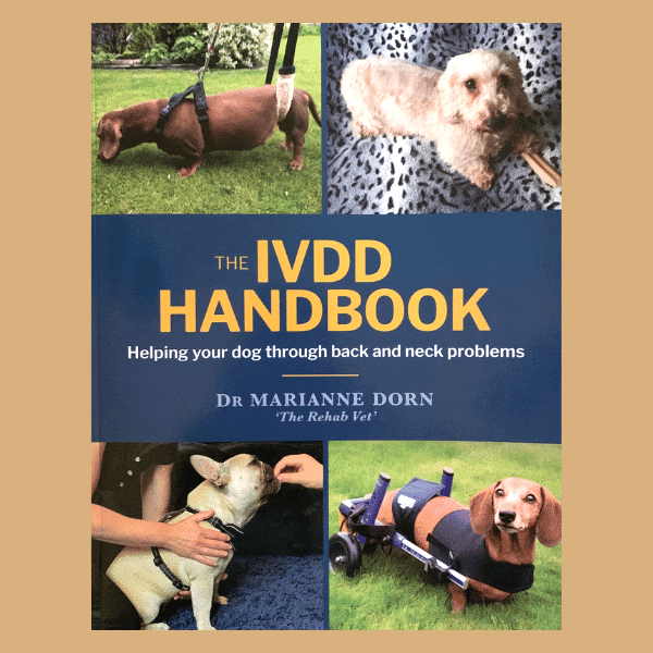 The IVDD Handbook - Rental image 0