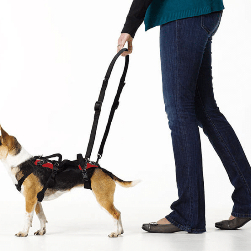 Help Em Up Small Conventional Harness image 1