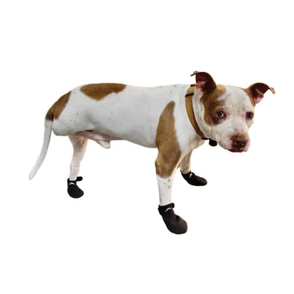 JAWZ Traction Booties (pack of 2) image 1