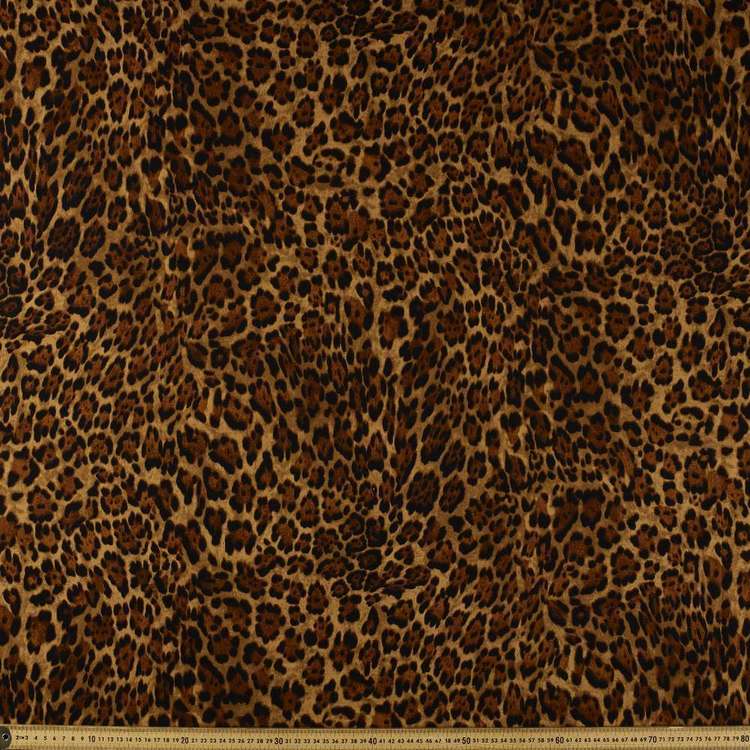 Belly Band Wraps for Boys - Large (50-55CM), Leopard image