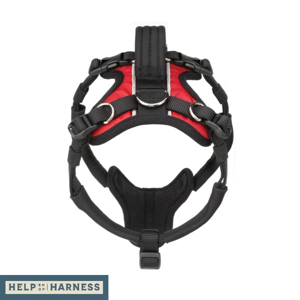 Help Em Up Walking Loop Handle XS/S/M image 2