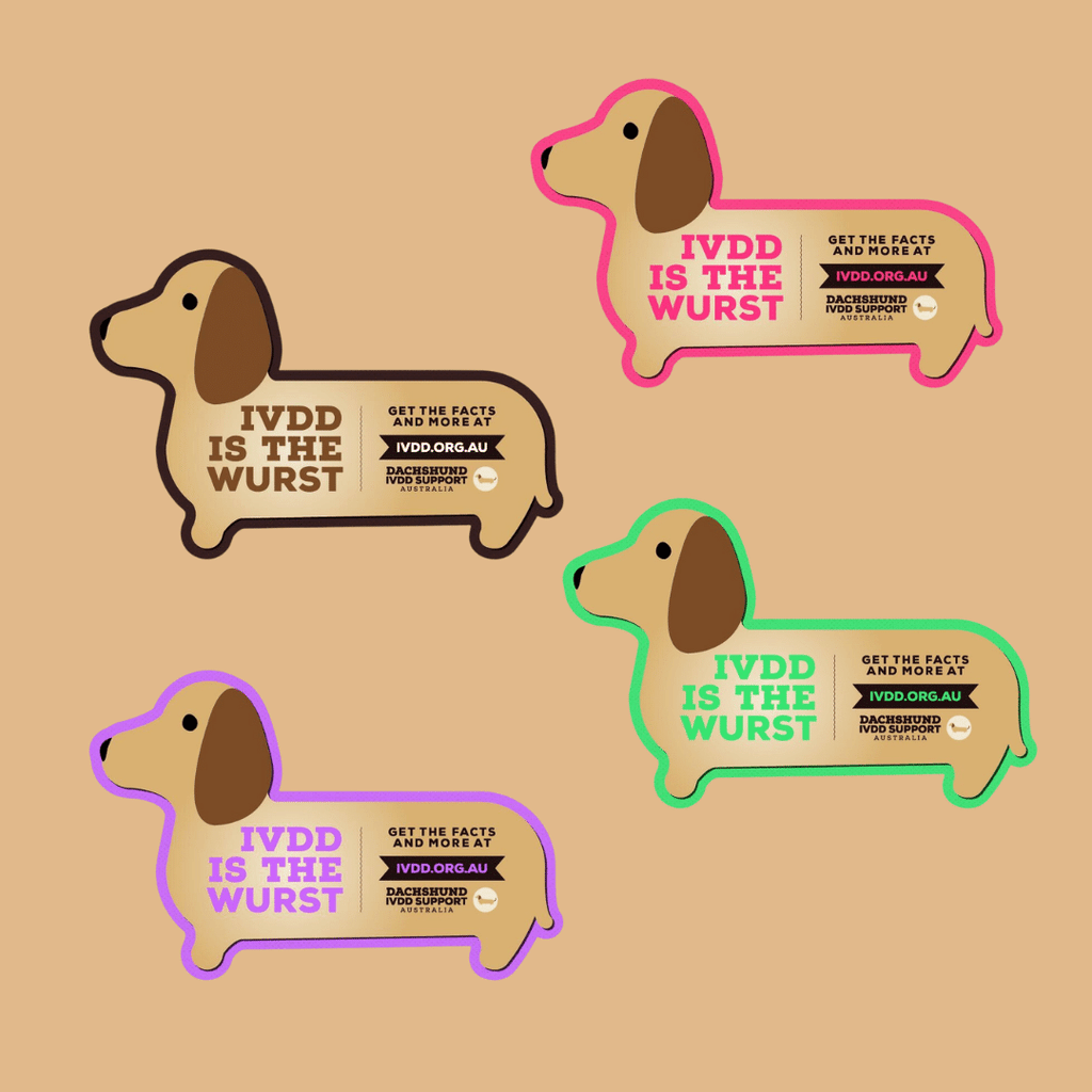 Sausage Dog Magnet Pack 20 image 1