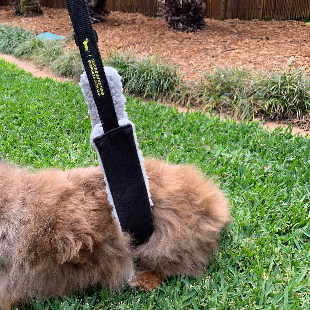 Support Sling by DISA - Unisex (up to 9kg*) + Free DISA Stroller Badge image 2