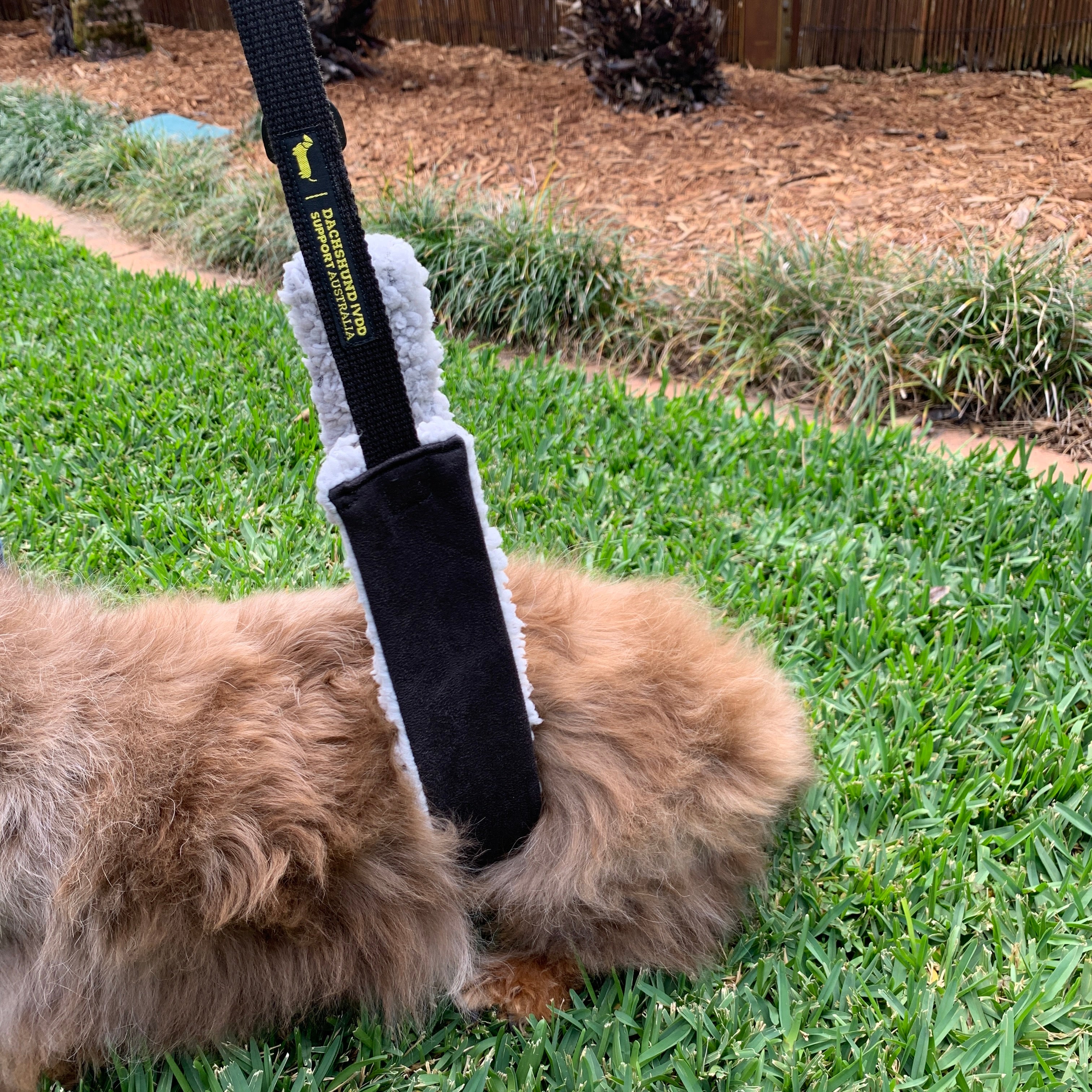 Support Sling by DISA - Unisex (up to 9kg*) + Free DISA Stroller Badge image 2